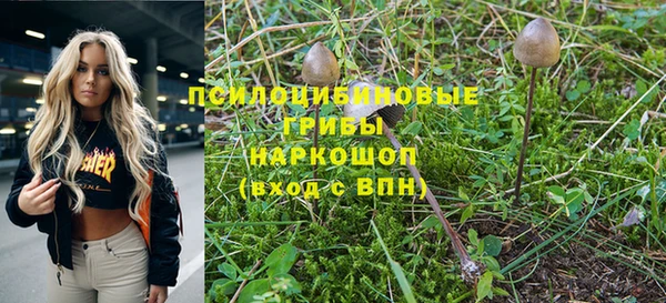 а пвп мука Няндома
