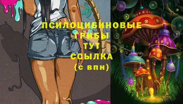 стаф Нязепетровск