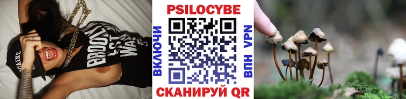 что такое Кораблино Псилоцибиновые грибы Psilocybe